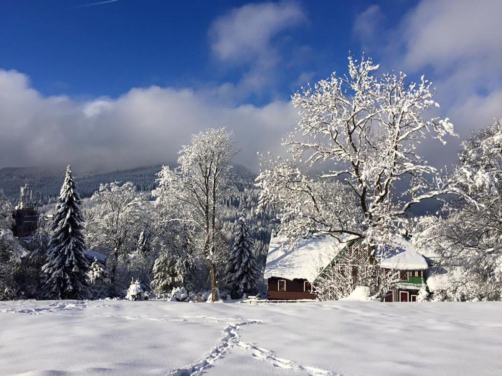 Pension Lucerna Špindlerŭv Mlýn Exterior foto